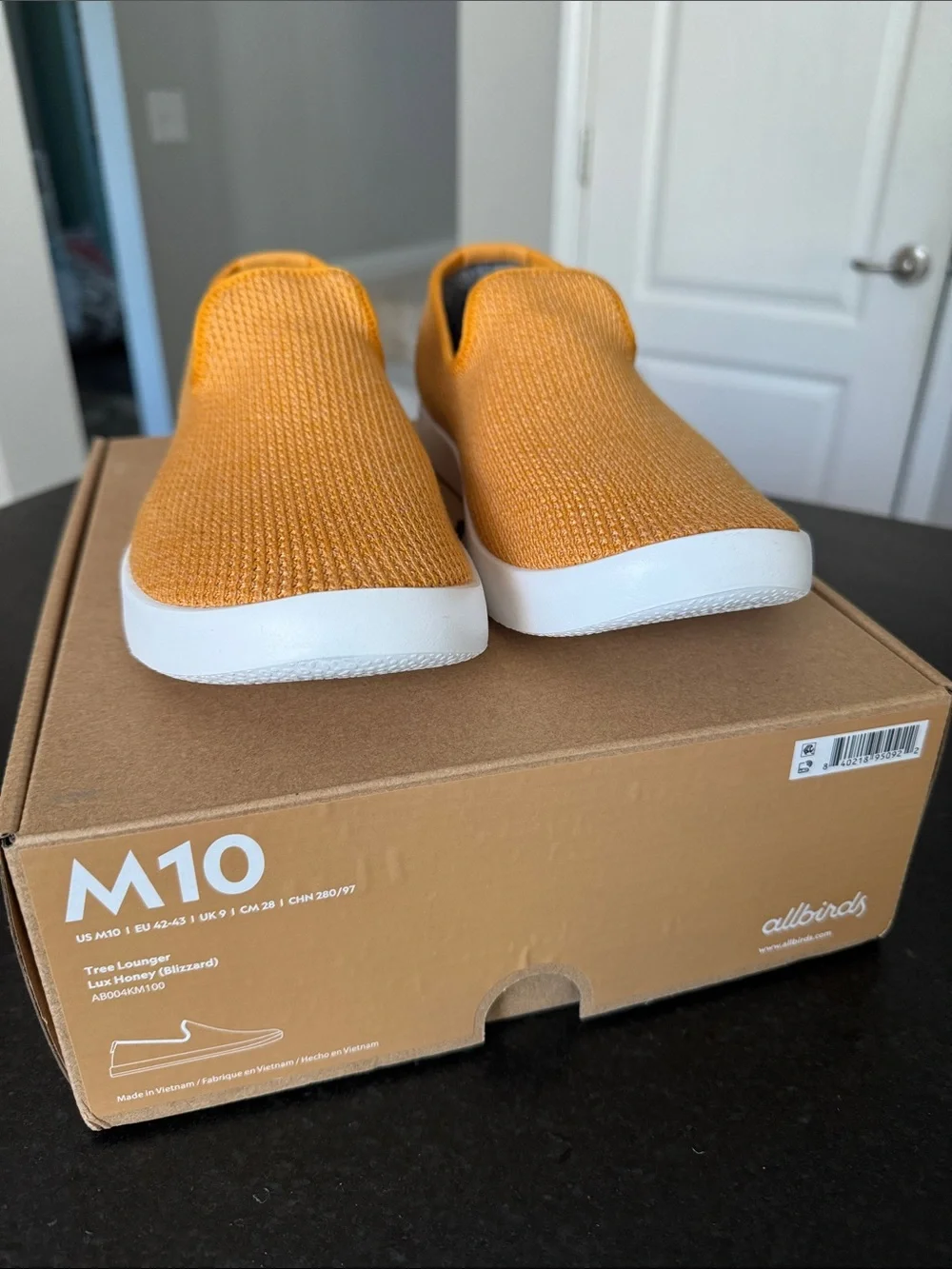 NWT Men’s Allbirds Tree Loungers 🔟